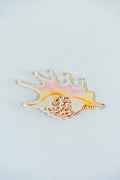 Spider Conch Acrylic Art Block Large