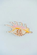 Spider Conch Acrylic Art Block Small