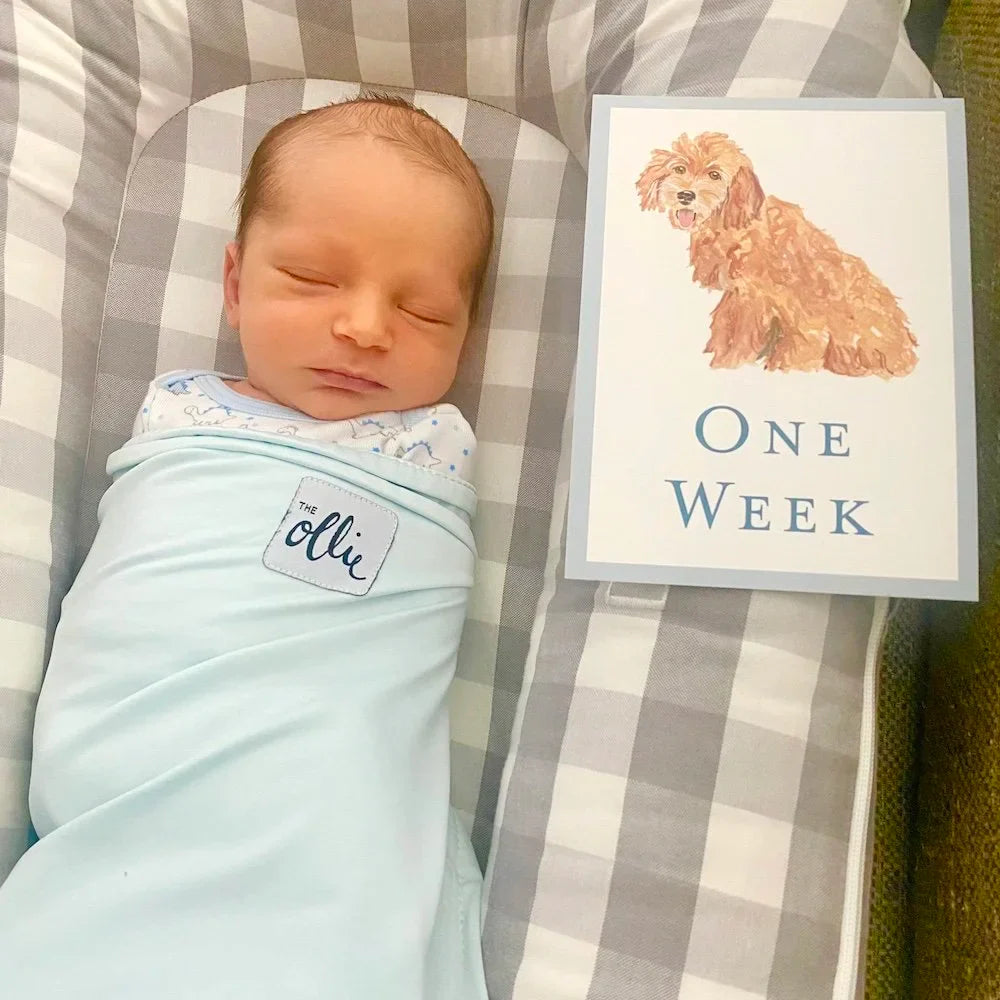 Baby Milestone Cards - Dogs