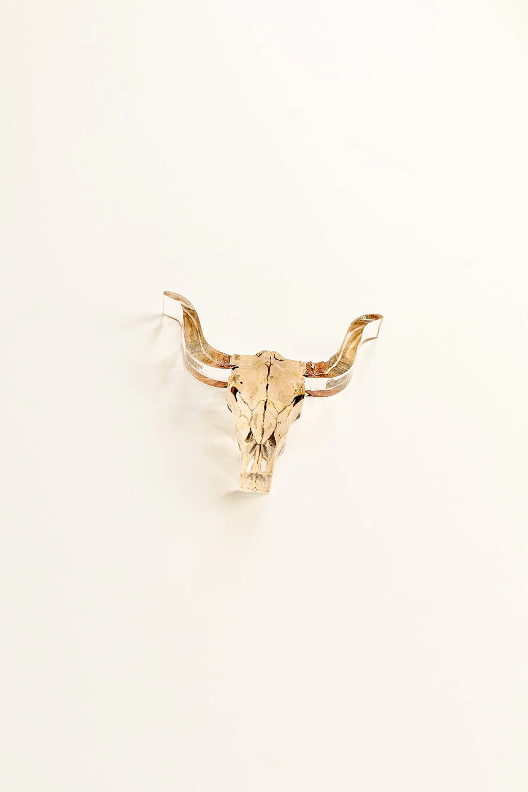 Cow Skull Acrylic Art Block