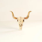 Cow Skull Acrylic Art Block
