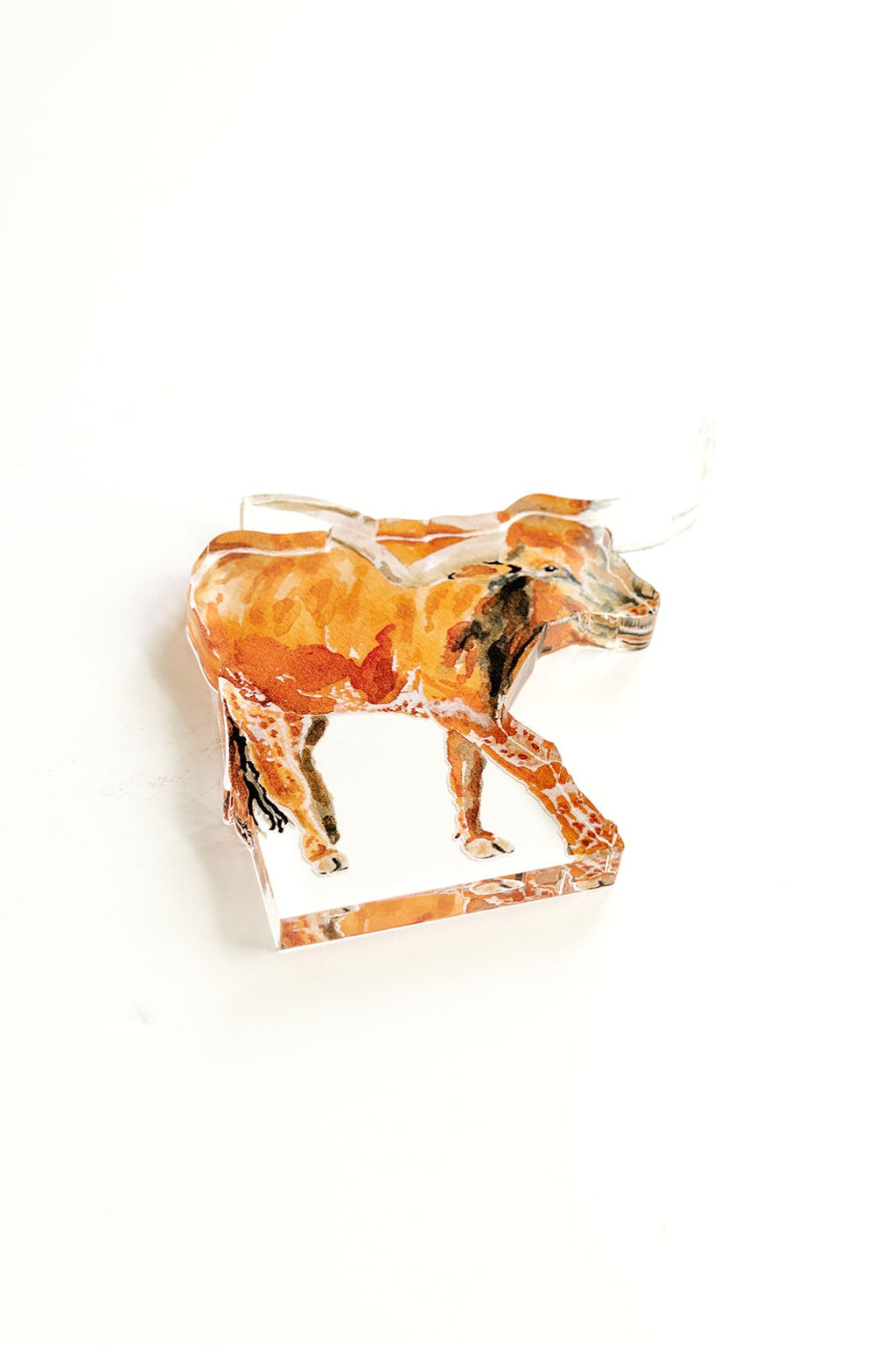 Longhorn Acrylic Art Block