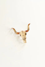 Cow Skull Acrylic Art Block