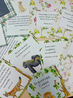 Women's Scripture Cards