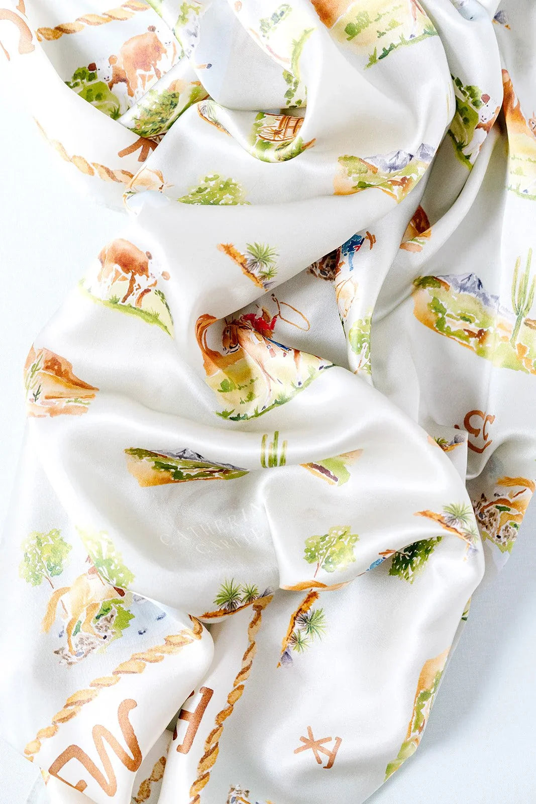 Western Toile Scarf