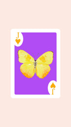 Butterfly Playing Cards with Acrylic Box