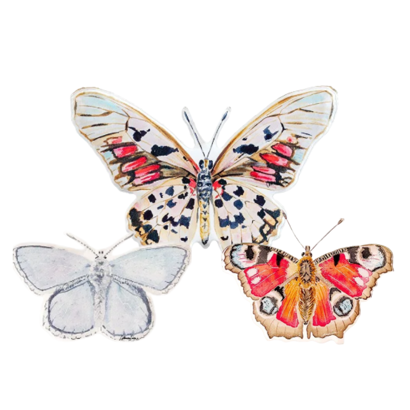 The Jacqueline - Butterfly Acrylic Art Block Bundle