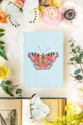 January 2 Butterfly Print 5x7