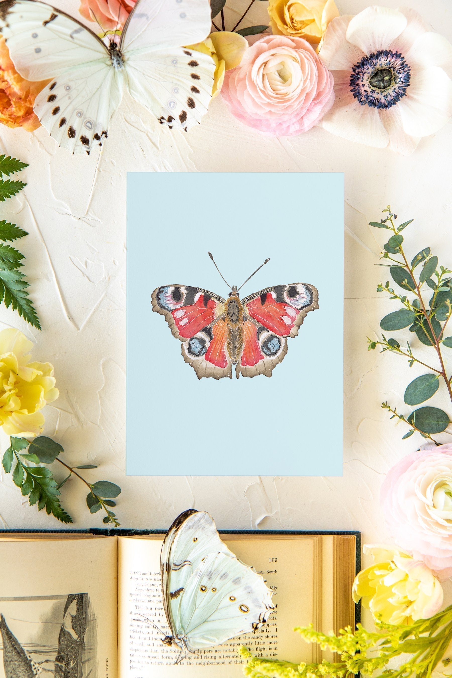 January 2 Butterfly Print 5x7