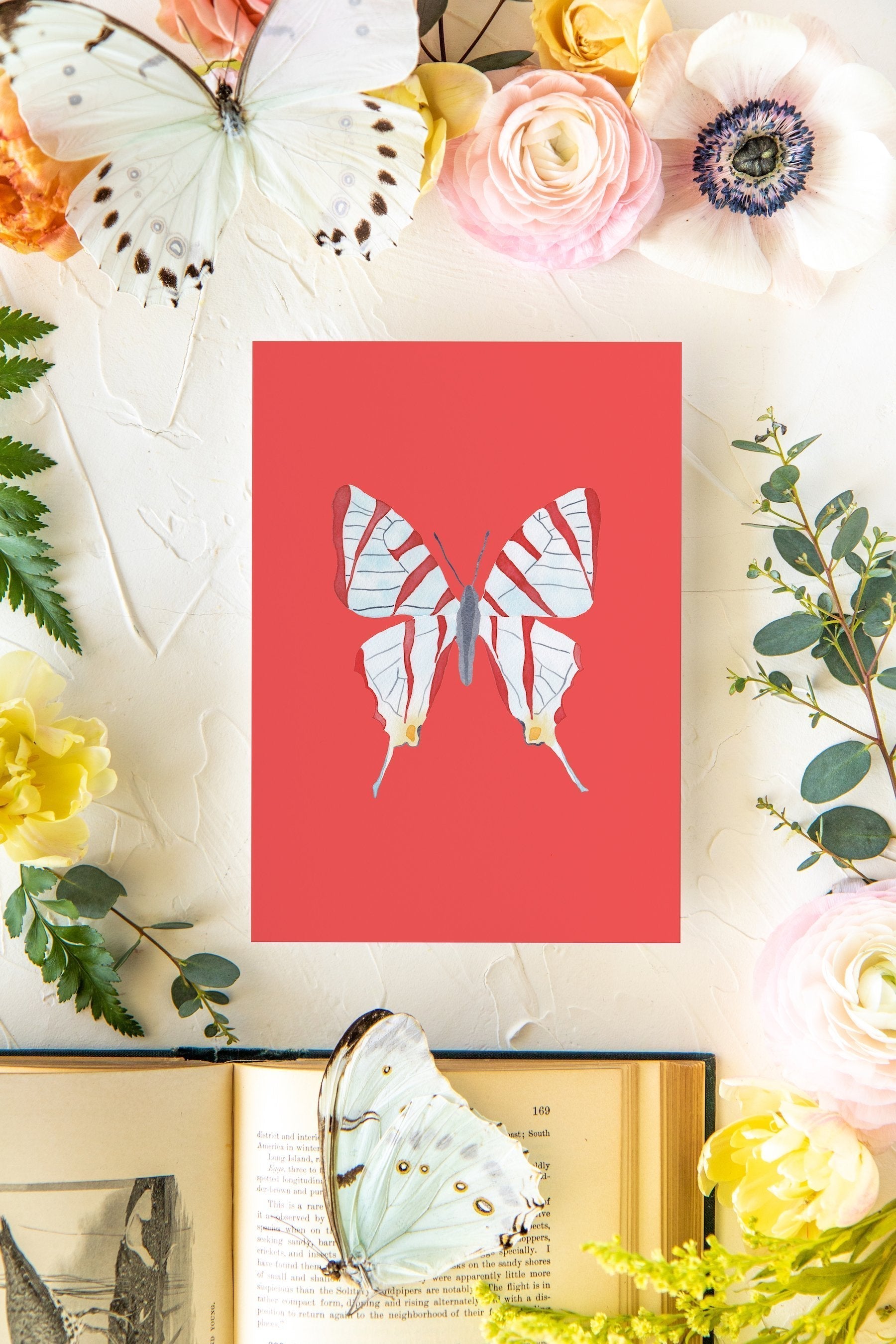 January 3 Butterfly Print 5x7