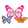 The Jessica - Butterfly Acrylic Art Block Bundle