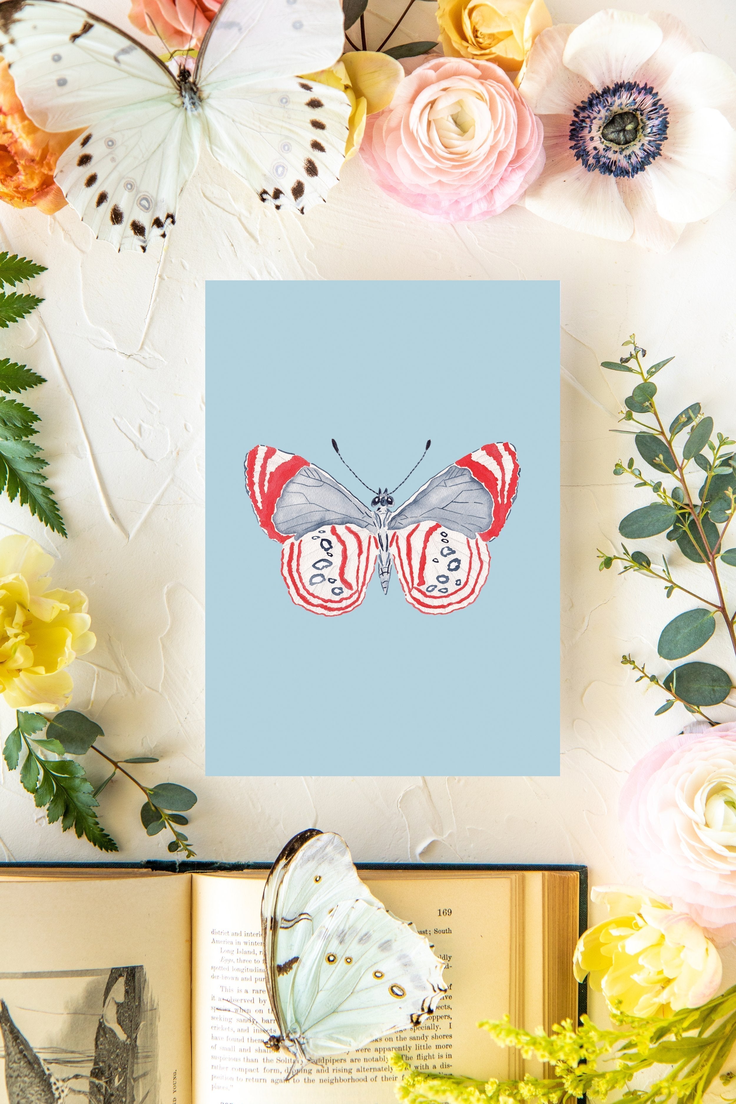 July Butterfly Print 5x7