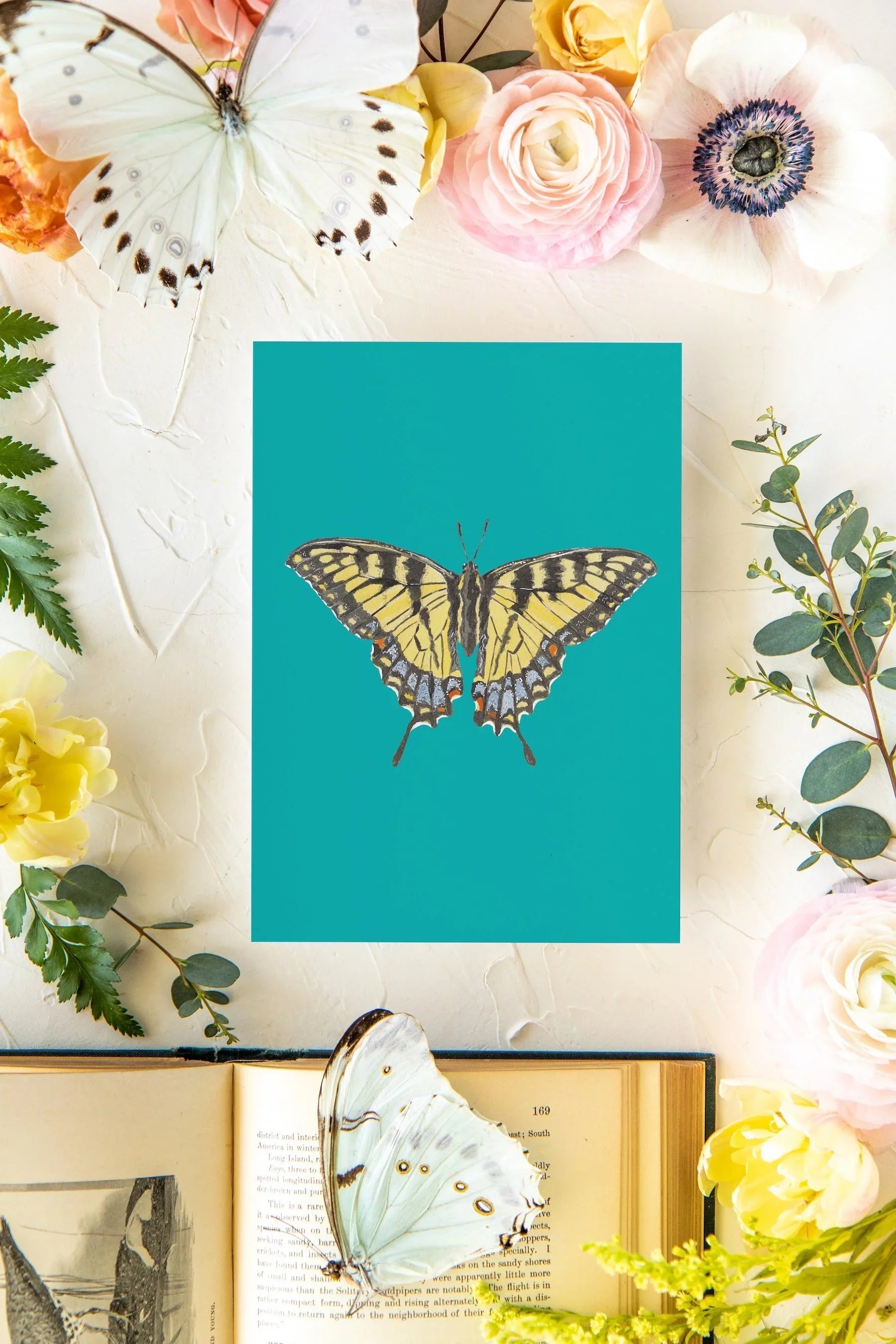 June 2 Butterfly Print 5x7