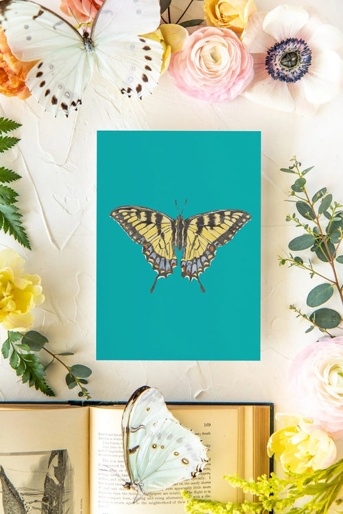 June 2 Butterfly Print 5x7
