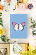 June 3 Butterfly Print 5x7