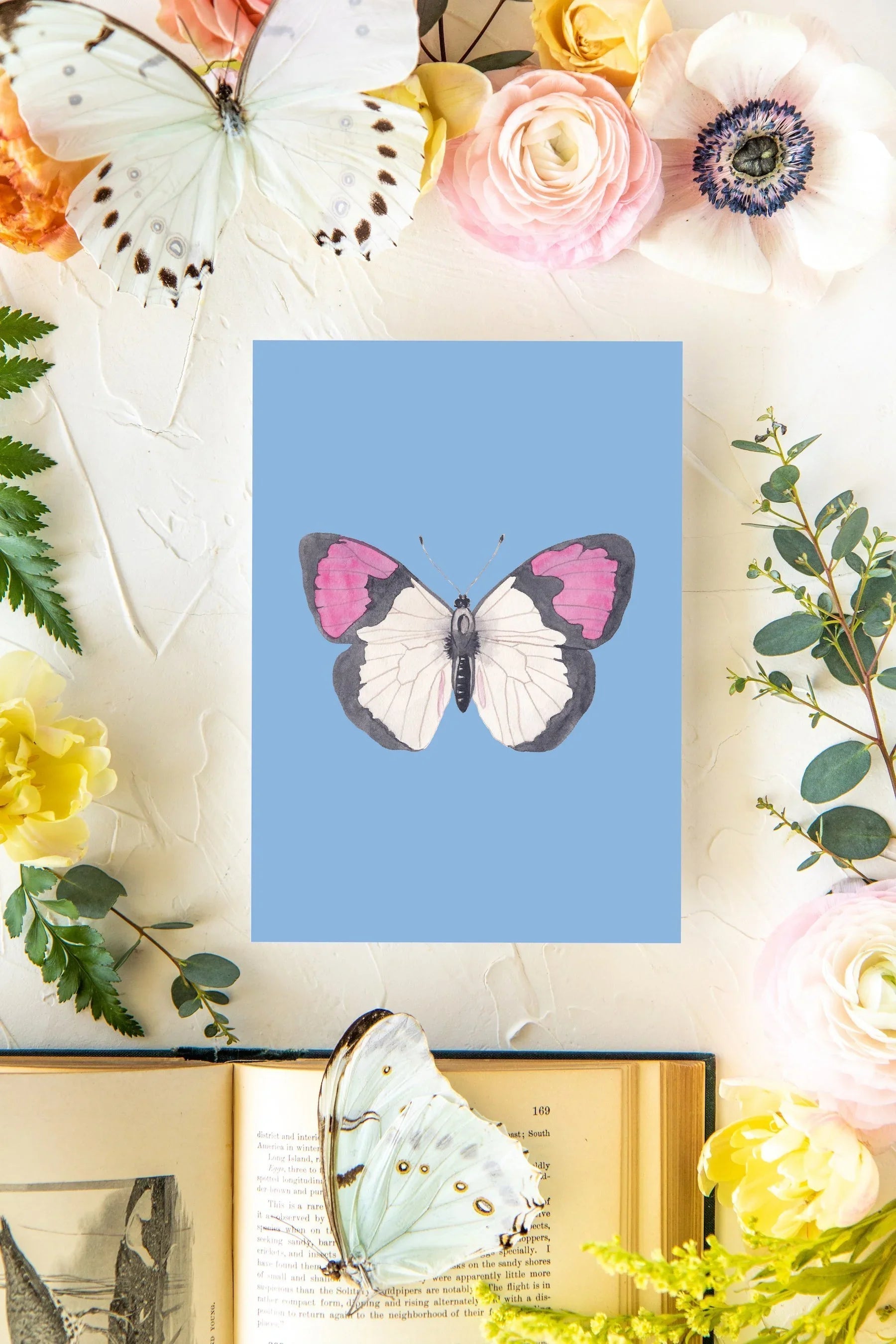 June 3 Butterfly Print 5x7