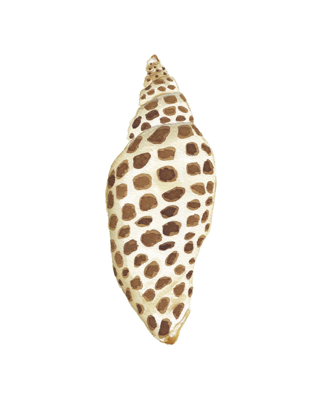 Junonia Acrylic Art Block Large