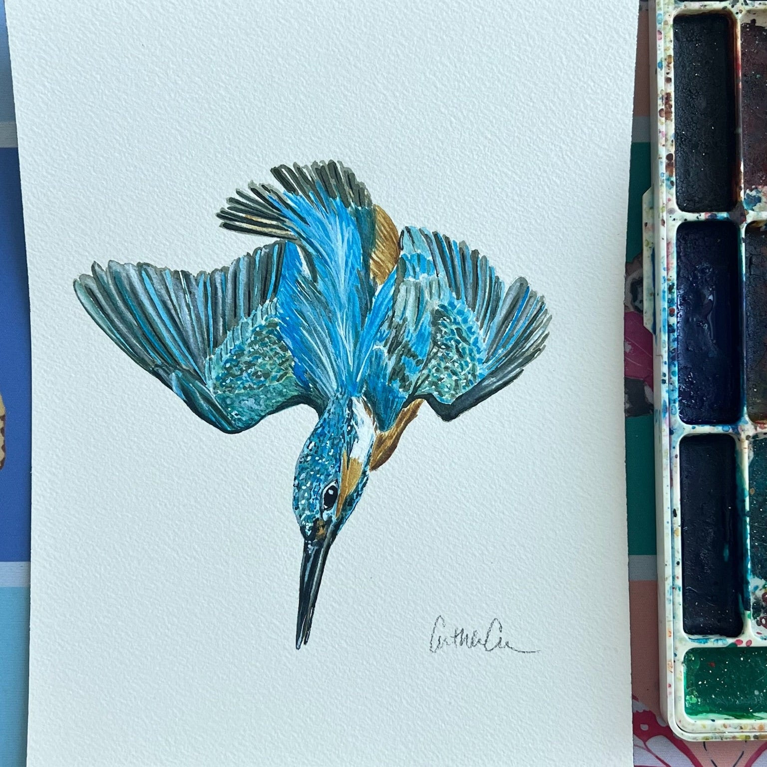 Kingfisher - Original Painting