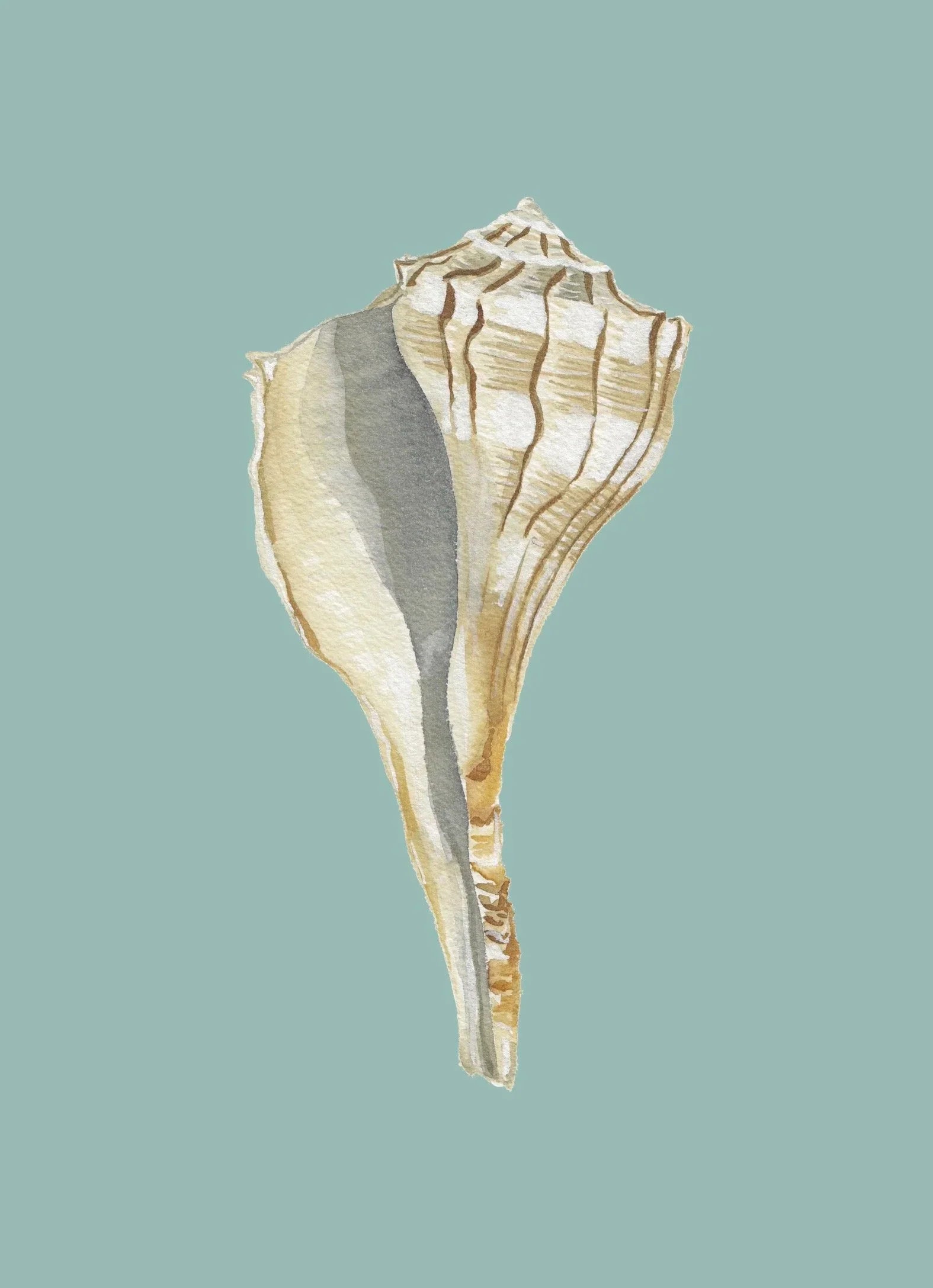 Lightening Whelk Art Print Colorful 5x7