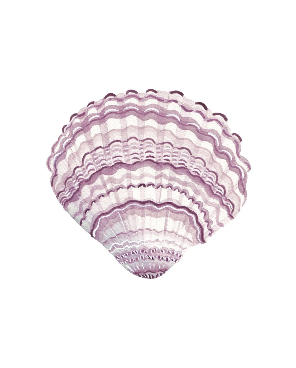 Lilac Cockle Acrylic Art Block Large