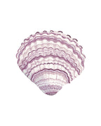 Lilac Cockle Acrylic Art Block Large