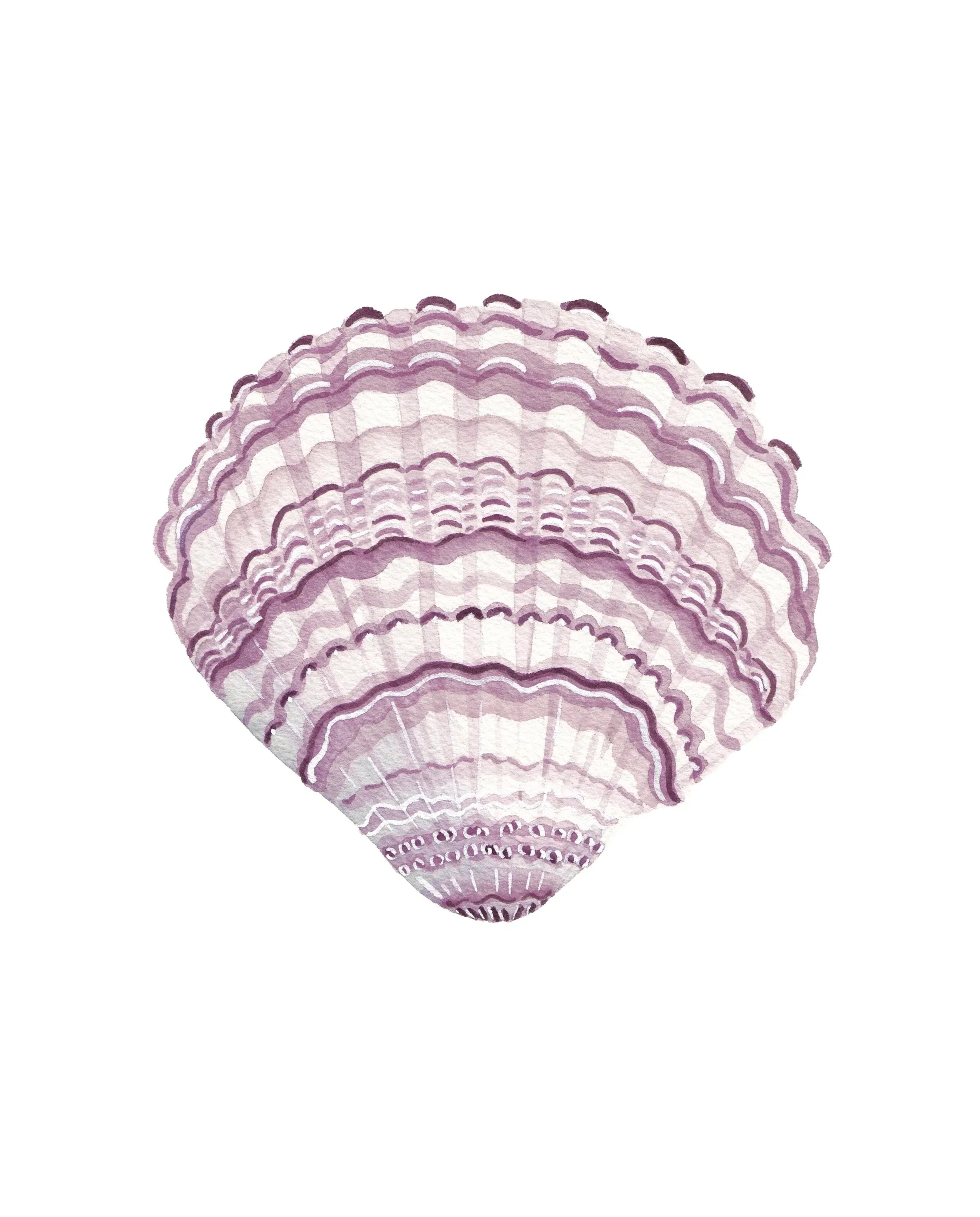 Lilac Cockle Acrylic Art Block Large