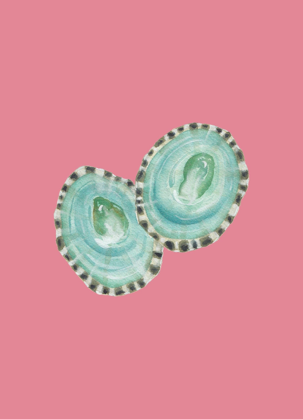 Limpet Shells Art Print Colorful 5x7