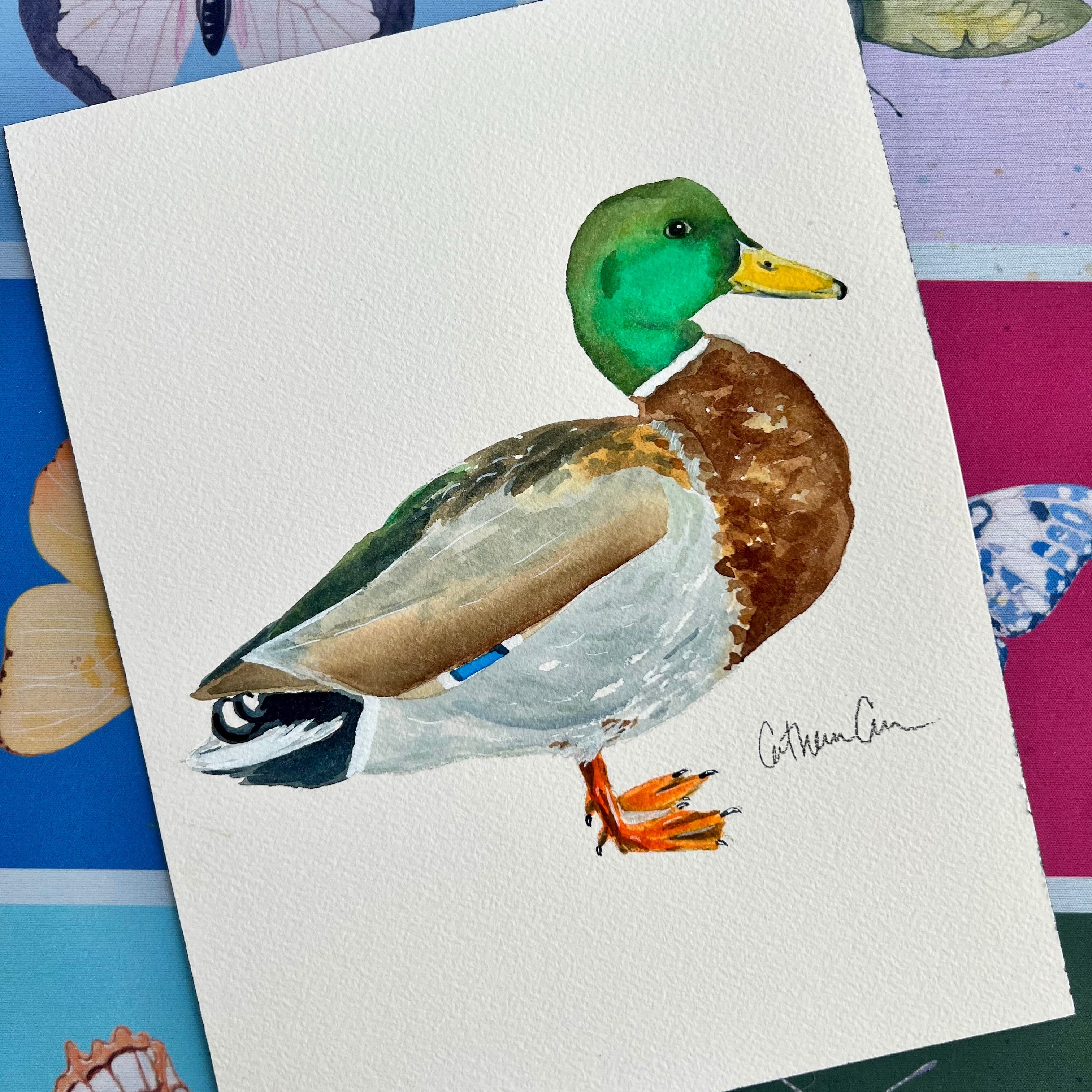 Mallard - Original Painting