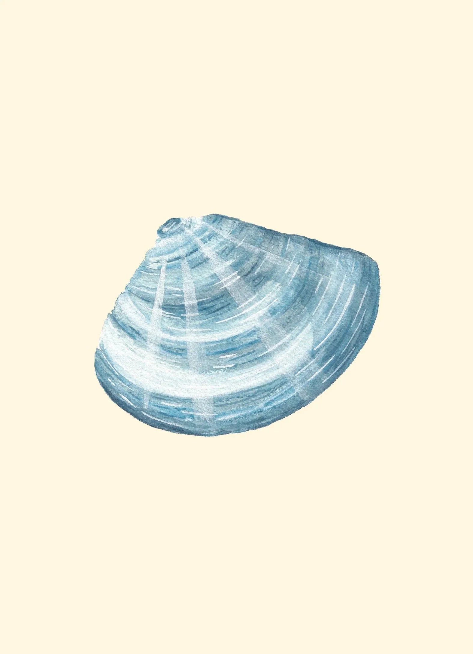 Manila Shell Art Print Colorful 5x7