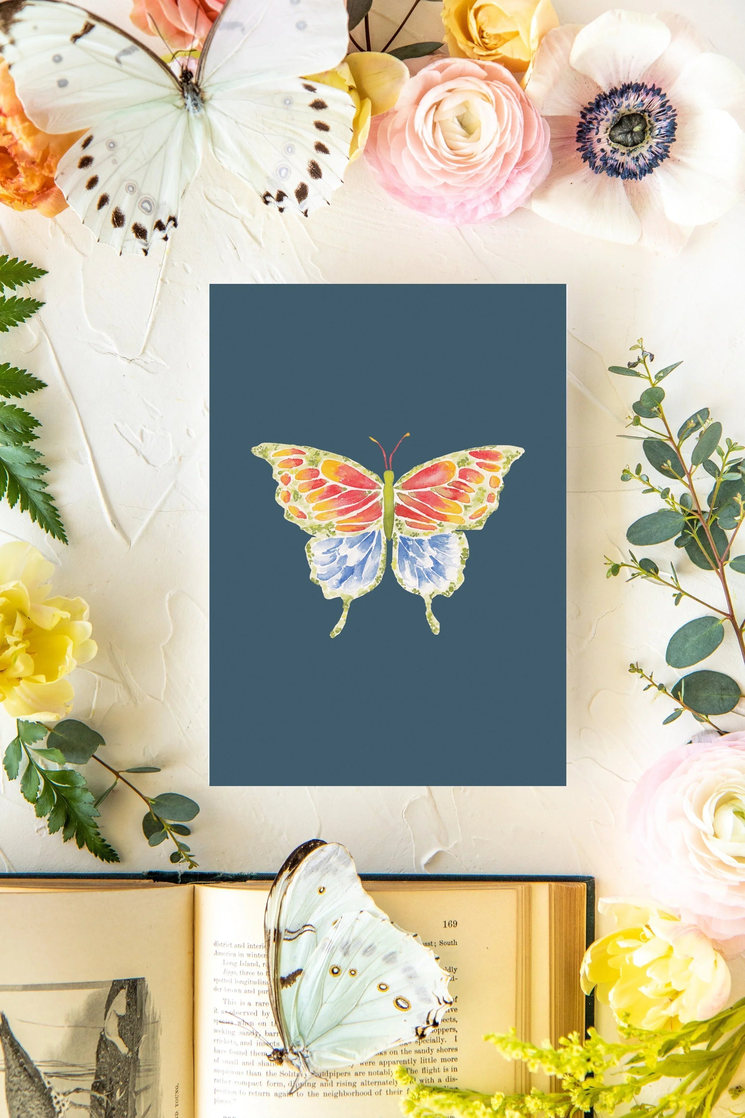 March Butterfly Print 5x7