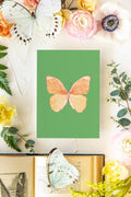 May 2 Butterfly Print 5x7