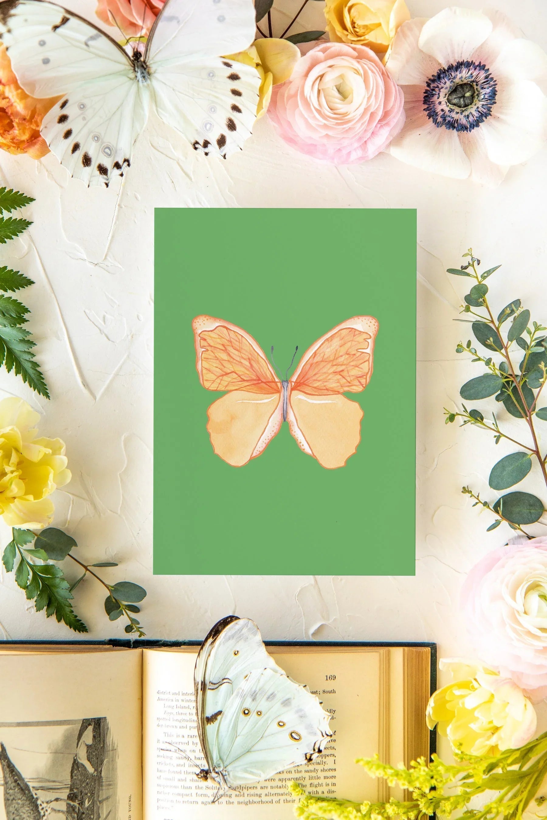 May 2 Butterfly Print 5x7