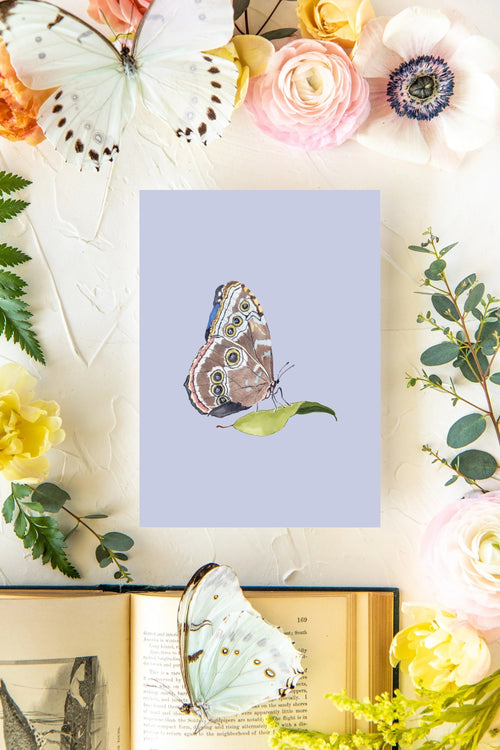 May Butterfly Print 5x7