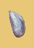 Mussel Art Print Colorful 5x7