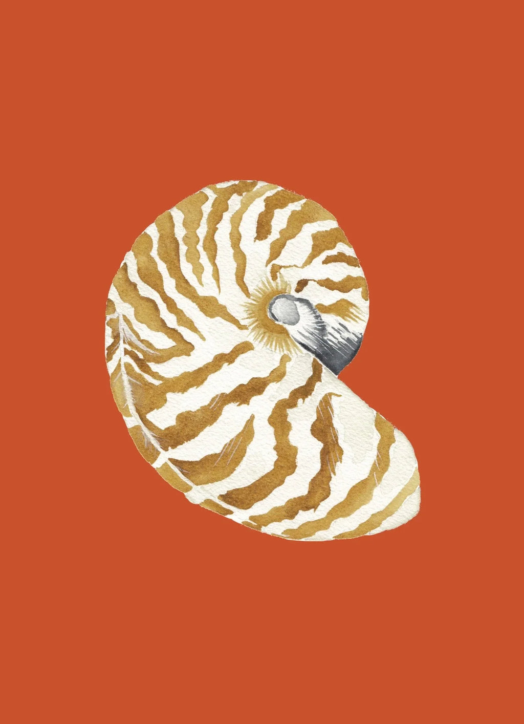 Nautilus Art Print Colorful 5x7