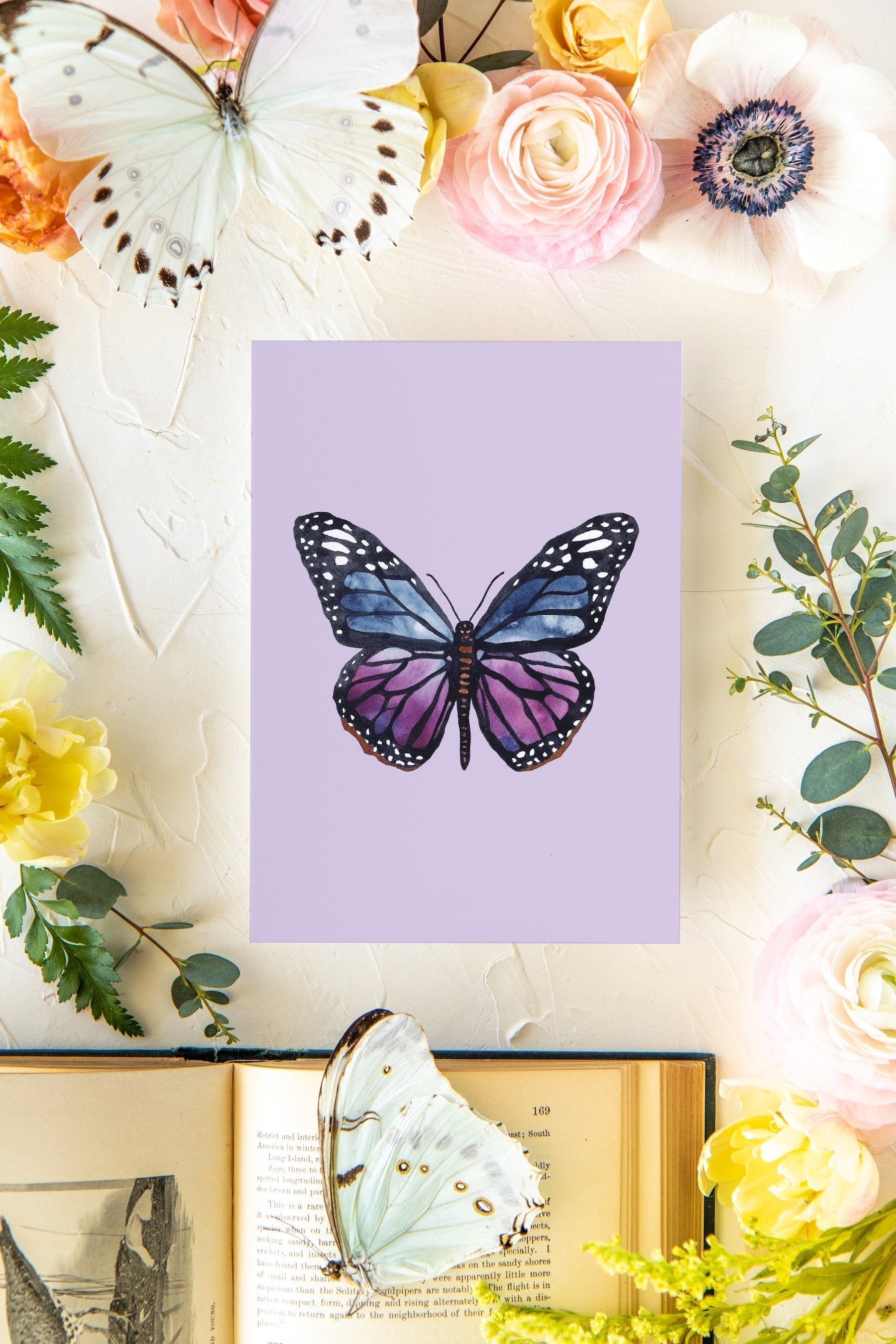 November 2 Butterfly Print 5x7