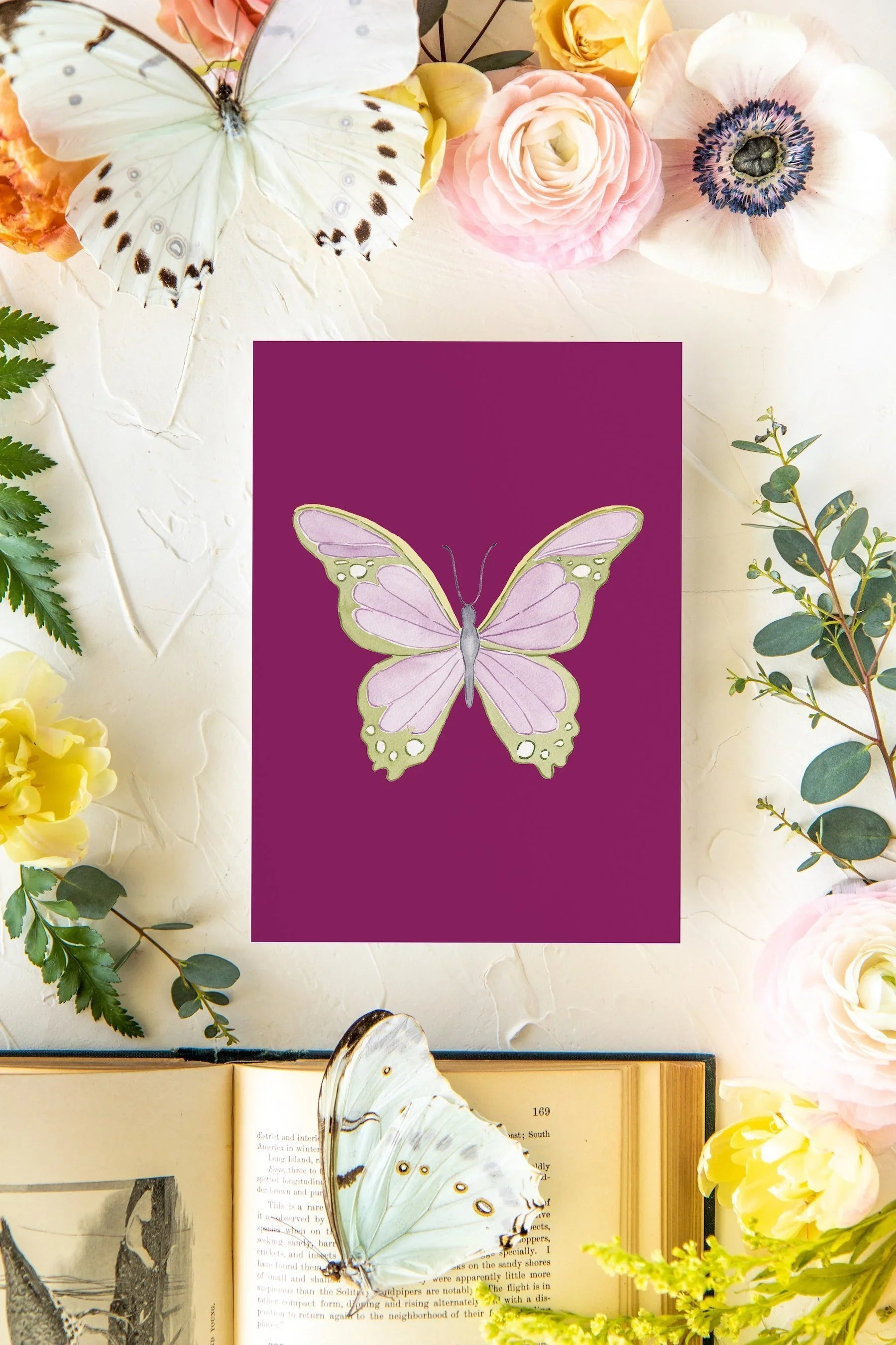 November 3 Butterfly Print 5x7