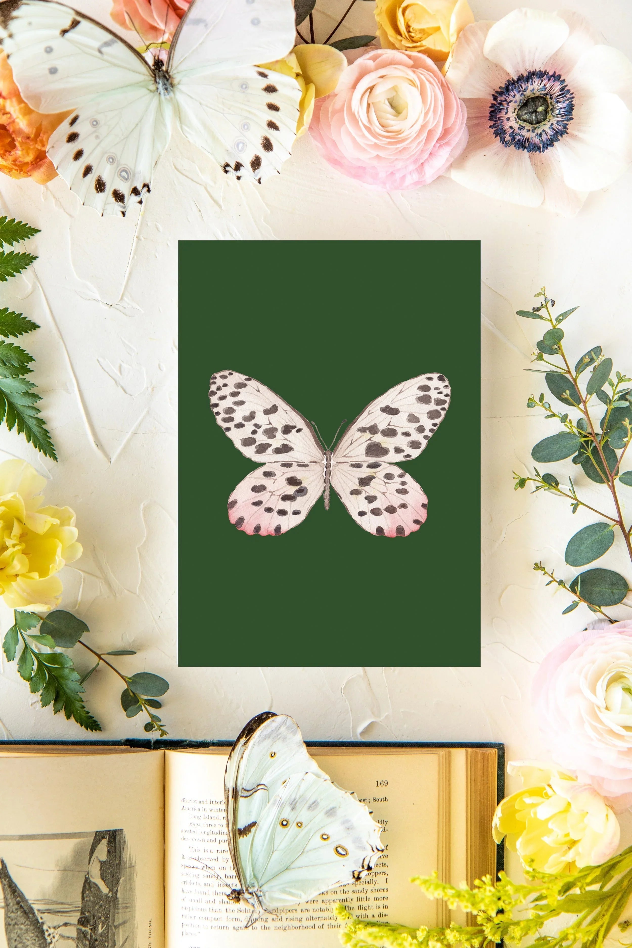 November Butterfly Print 5x7