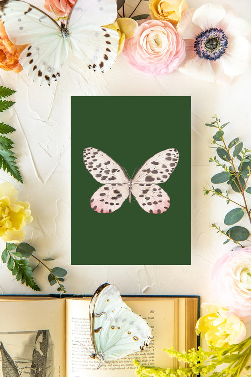 November Butterfly Print 5x7