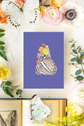 October Butterfly Print 2 5x7