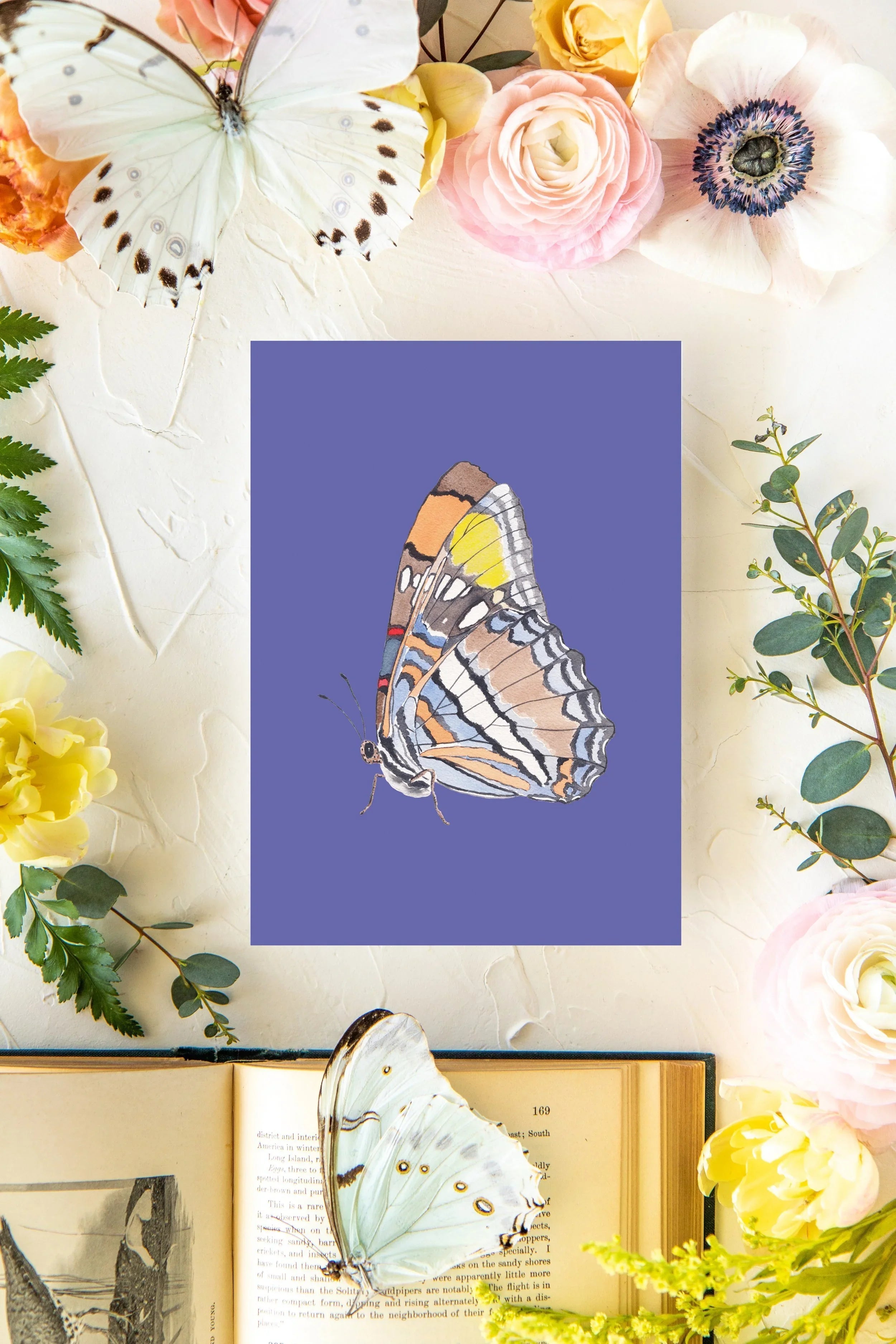 October Butterfly Print 2 5x7