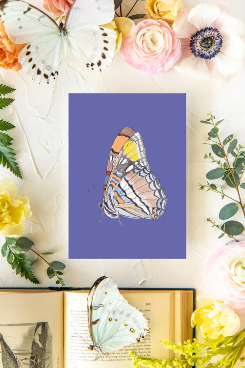 October Butterfly Print 2 5x7
