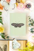 October 3 Butterfly Print 5x7
