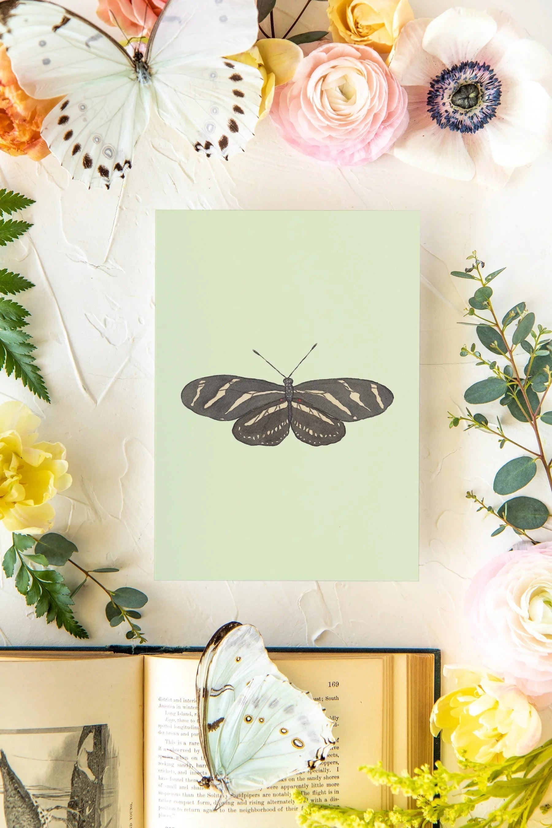 October 3 Butterfly Print 5x7
