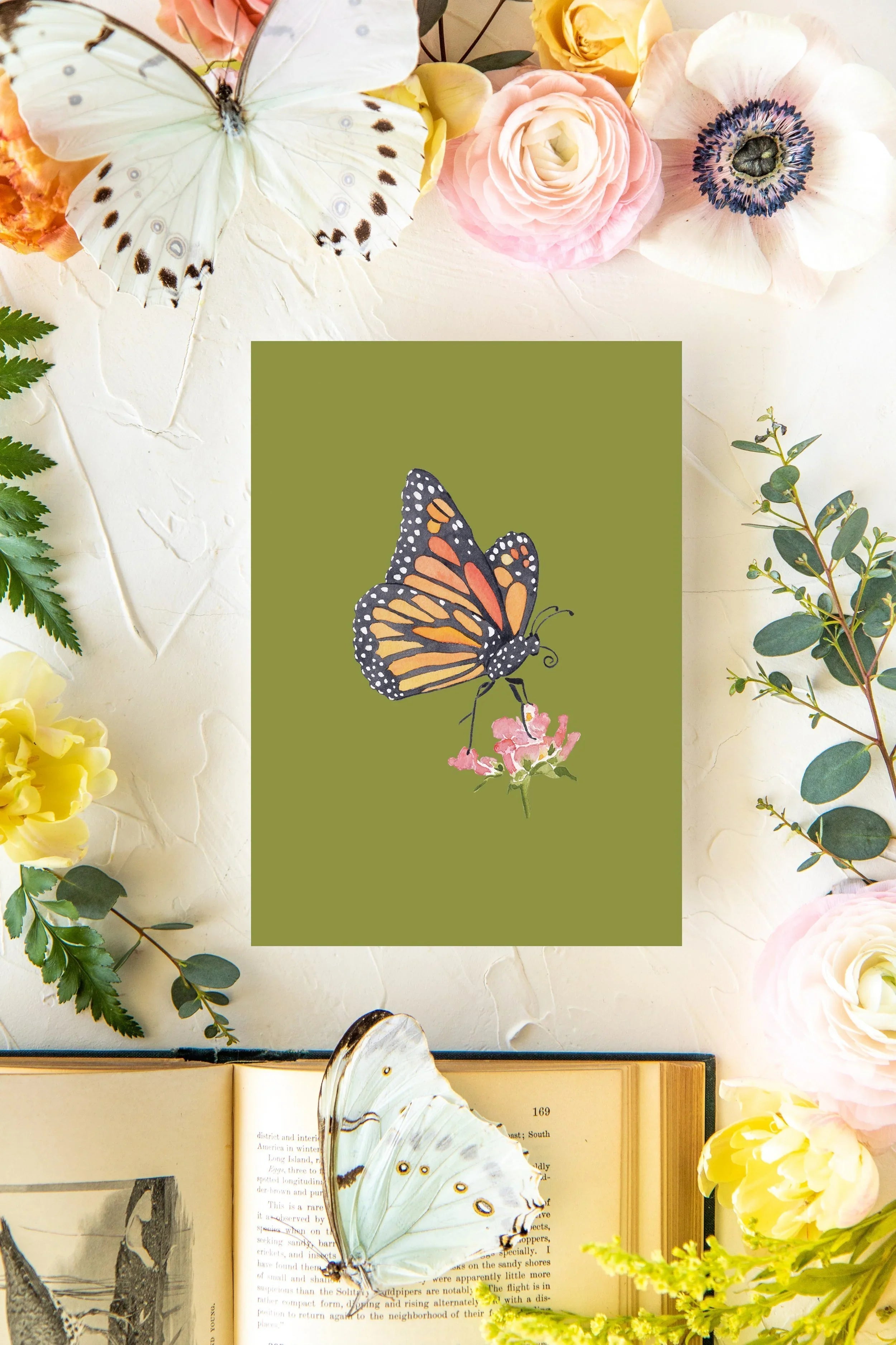 October Butterfly Print 5x7