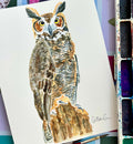 Owl - Original Painting