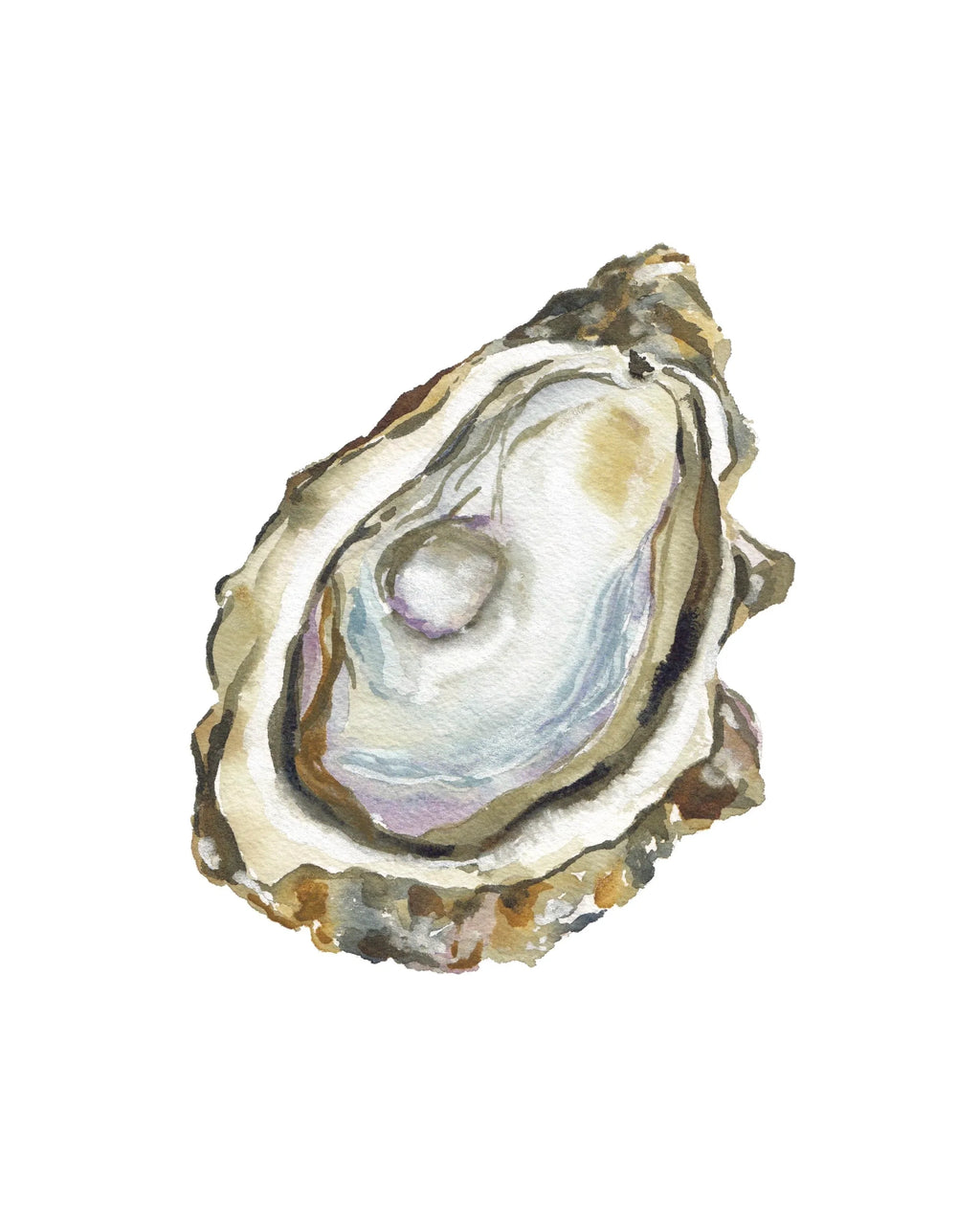 Oyster Acrylic Art Block Large