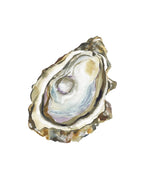 Oyster Acrylic Art Block Large