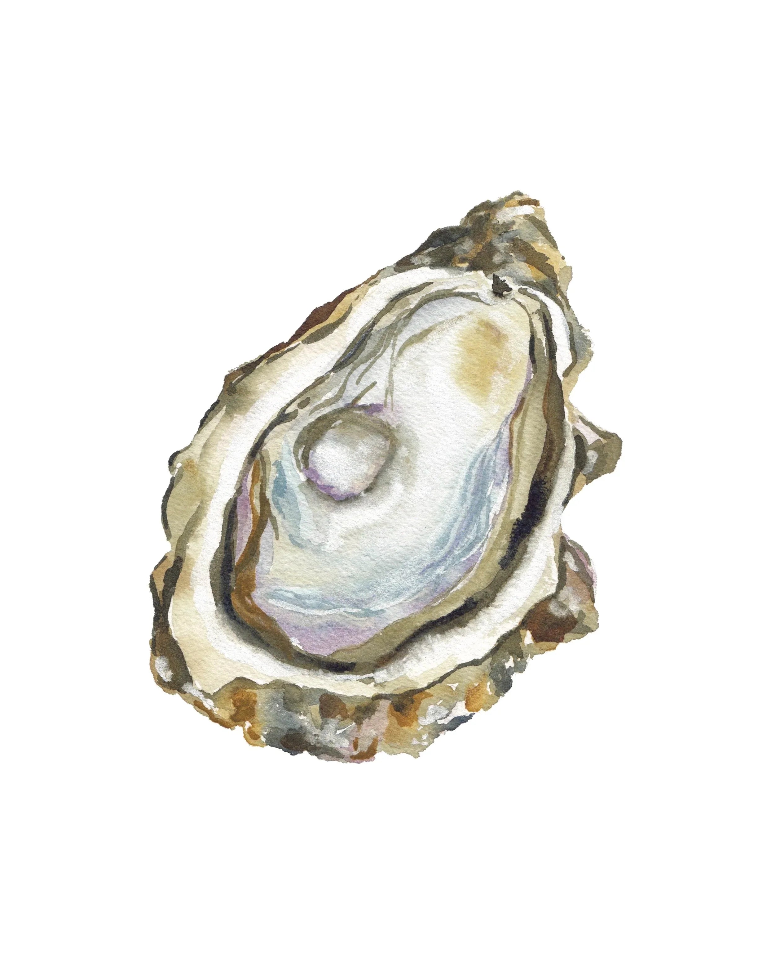 Oyster Acrylic Art Block Small