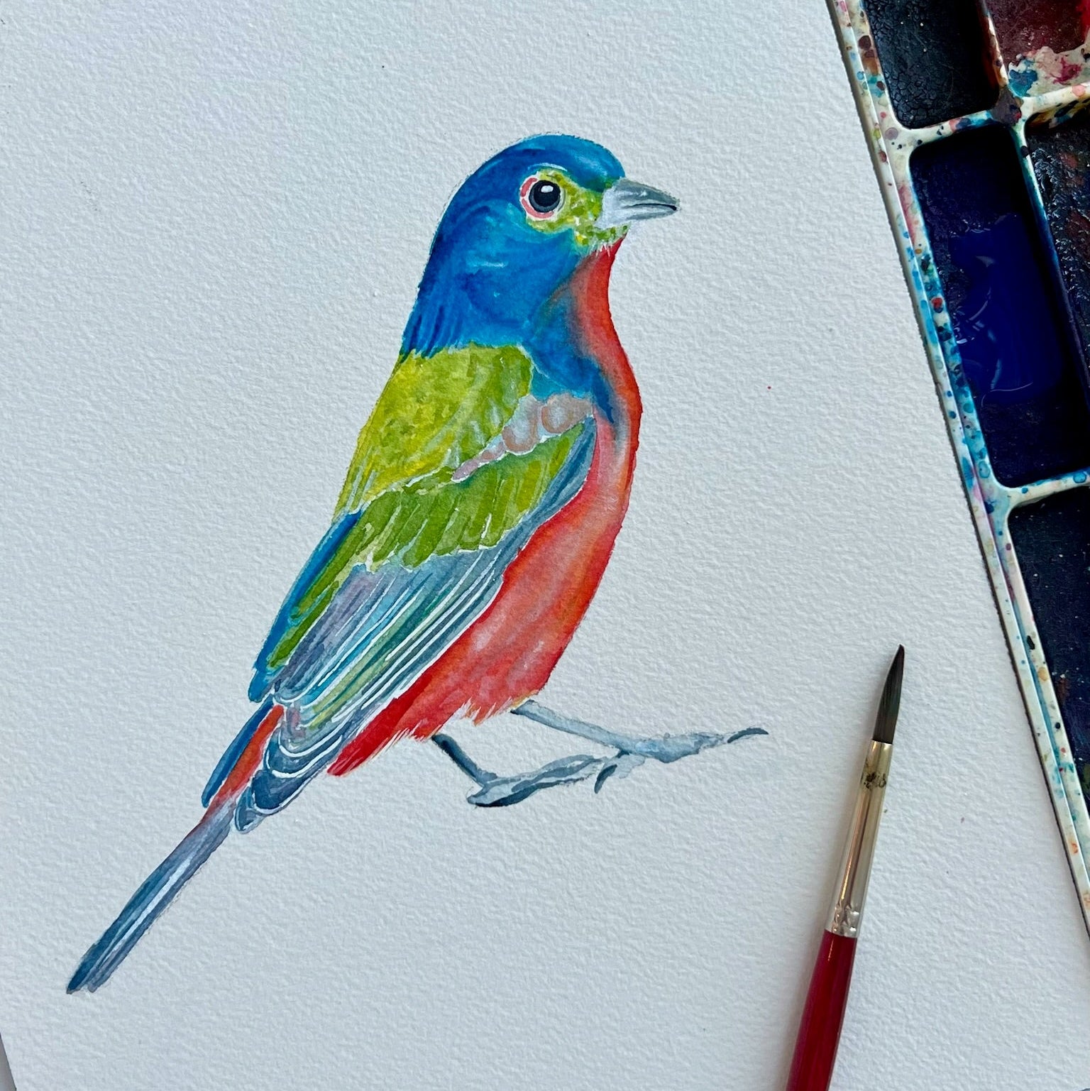Painted Bunting - Original Painting